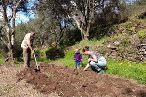 Three months of growing food - Spring on our off-grid homestead in Central Portugal