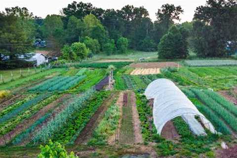 How to Start a Small Farm | A Step-by-Step Guide