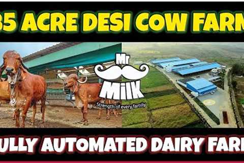 Amazing 85 Acre Modern Desi Cow Farm in India: A Look at Mr.Milk''s High-Tech Dairy Operation