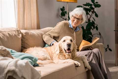 How Therapy Dogs Can Improve Your Senior Loved One’s Life