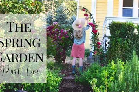 Companion Planting | Wood chips garden path | growing herbs for tea garden