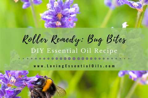 How to Make an Essential Oil Recipe for Bug Bites - DIY Roller Blend