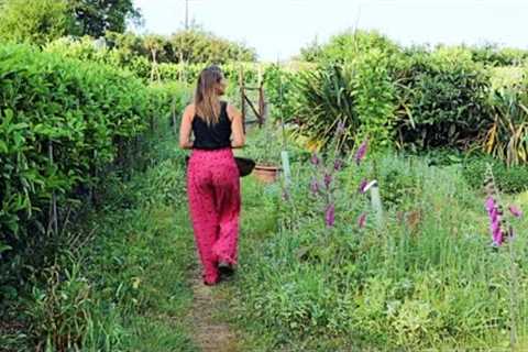 Harvesting Seasonal Vegetables and Medicinal Herbs & UPDATE on our YACON Plants - Vlog 11