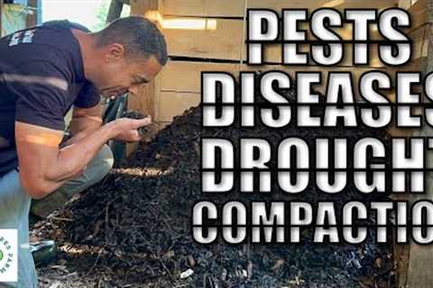 Using Compost Extract to Fix our Bad Soil