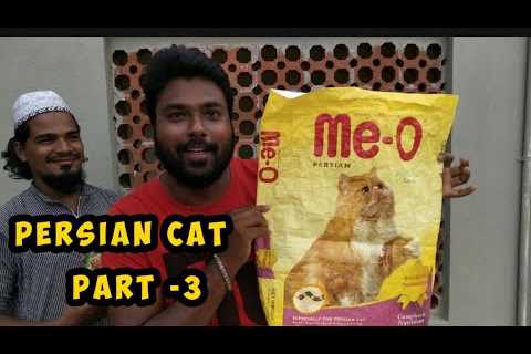 PERSIAN CAT FOOD IN TAMIL / VITAMINS AND MINERALS SUPPLEMENTS FOR PERSIAN CAT IN TAMIL