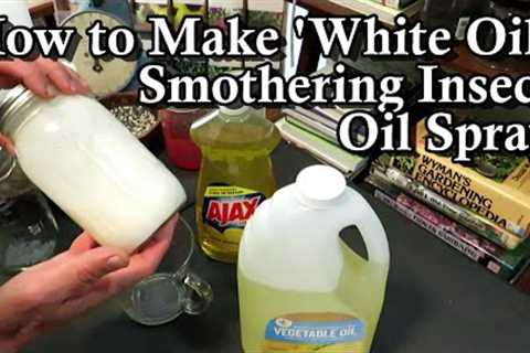 How to Make a ''White Oil  Smothering Oil Insect Garden Spray: Kill Eggs & Soft Bodied Insects!