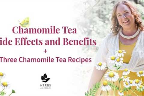 Chamomile Tea Side Effects and Benefits + Three Chamomile Tea Recipes
