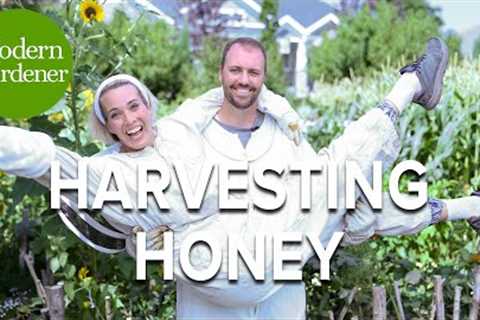 Mastering the Art of Honey Harvest: How to Efficiently Pull Frames