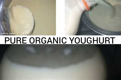 How to make homemade organic youghurt from fresh buffaloes, cows milk.In 19 hours already youghurt.