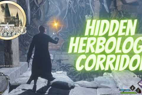 Hidden Herbology Corridor - HOGWARTS LEGACY - Silent Walkthrough - [4K]