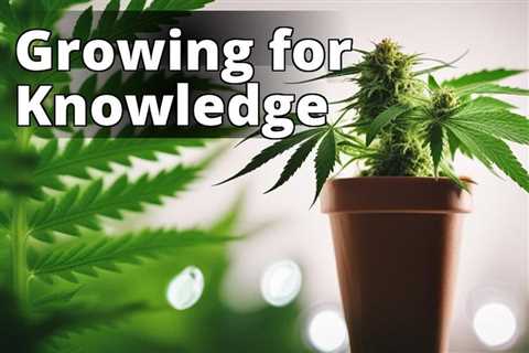 Growing Marijuana for Intellectual Enrichment