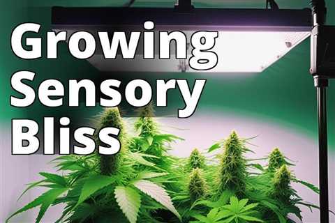 The Art of Sensory-Enhanced Marijuana: A Complete Guide to Growing Your Own
