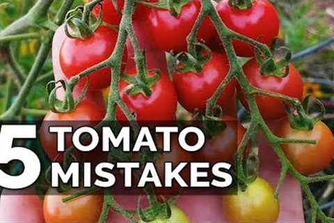 5 Tomato Grow Mistakes To Avoid