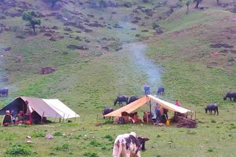 Very Relaxing Nepali Mountain Village Life | Organic food| Returning the Home after six Month later|