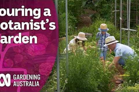 A high-profile botanist who uses his own backyard for research | Discovery | Gardening Australia