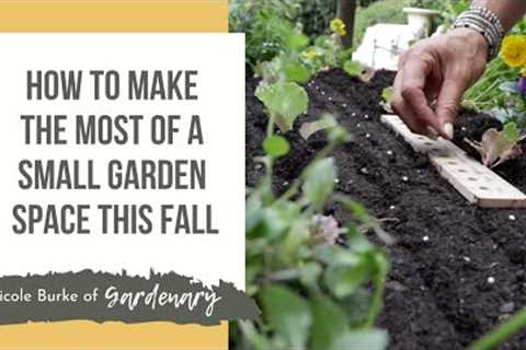 How to Make the Most of a Small Garden Space This Fall