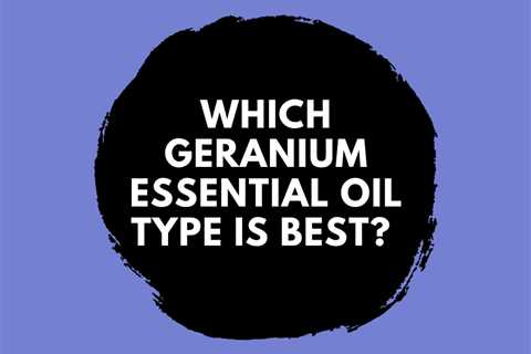 Which Geranium Essential Oil Type is Best? Oily FAQ