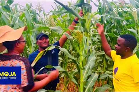 How She Makes Her Own Organic Fertilizer, Deep In Rural African Village 🇿🇼