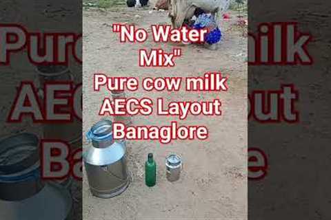 No Water mix milk AECS Layout Bangalore.#cow #Bangalore #viral #viralvideo