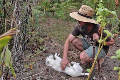 Time''s Up! Resetting the Grocery Row Garden Before Winter