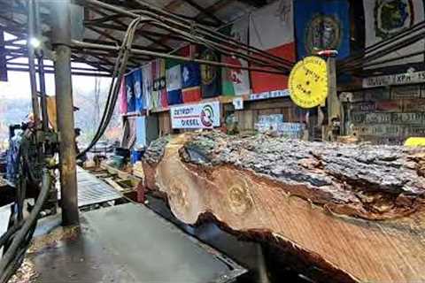 sawing a ugly white pine log & a pumpkin # 480