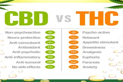 Cbd Vs Thc Unterschied: What You Need To Know Before Buying?