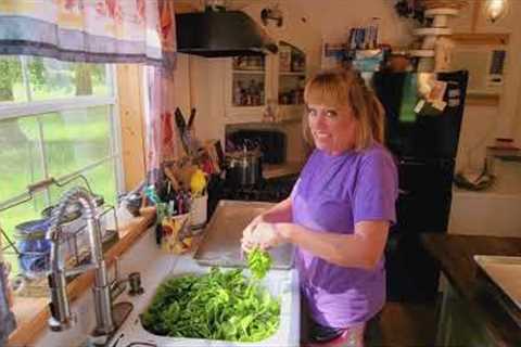 how to dry BASIL fresh from the garden💚