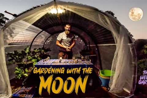 Moon Planting - Unlocking a Seed`s Full Potential
