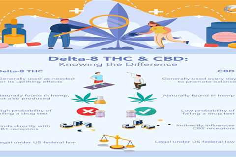 DELTA 8 THC Vs CBD Creams: Which Is Better For You?