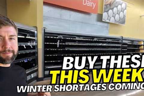 5 Items You NEED To BUY NOW (I DID) With CASH Before ITS GONE! | Prepping For Winter SHORTAGES