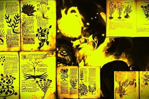 A Herbology World The Hidden Powerful Ways Of Healing