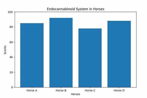 Revitalizing Equine Skin: The Power of CBD Oil