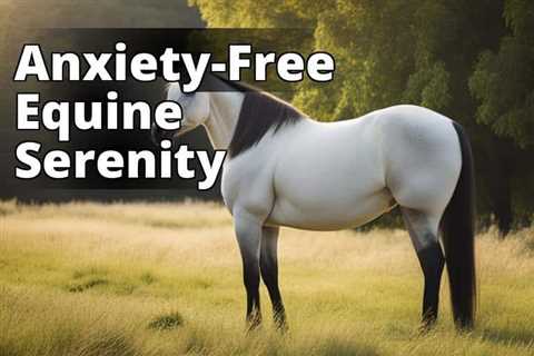How CBD Oil Soothes Anxiety in Horses: The Ultimate Solution