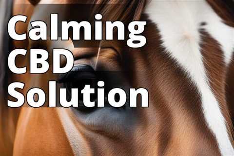 Unleash Calm: How CBD Oil Benefits Anxiety in Horses