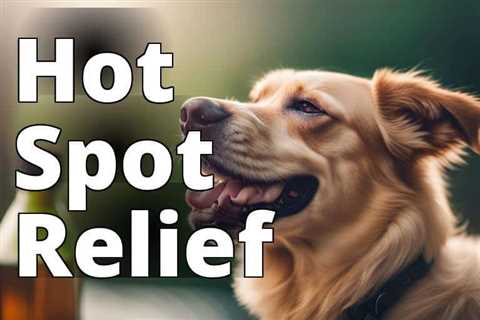 Discover the Remarkable Benefits of CBD Oil for Hot Spots in Dogs: Your Ultimate Pet Care Solution