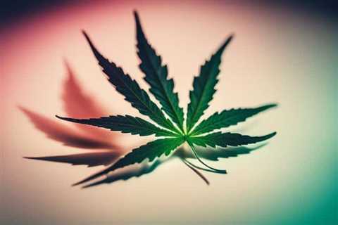 CBD Relief Ease Chronic Pain Now
