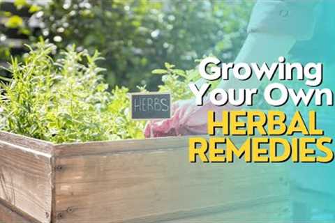 Growing Your Own Herbal Remedies