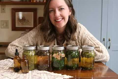 Backyard Medicine | How to Make Herbal Tinctures | Home Apothecary