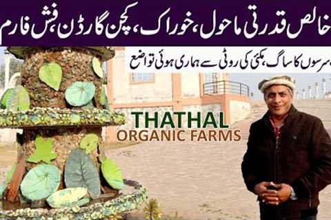 Life in Nature | Kitchen Garden | Lunch with Organic Food | Thathal Organic Farms | Rawalpindi