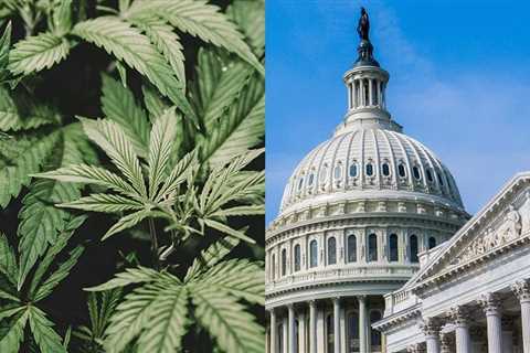 US Congressman Urges DEA to Expedite Rescheduling #Cannabis…