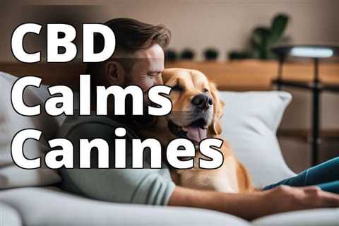 The Definitive Guide to Buying CBD for Dog Anxiety Today