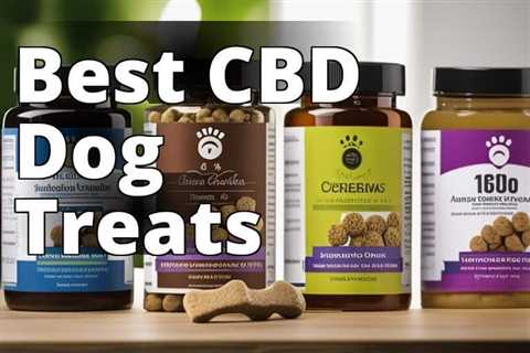 CBD Dog Treats Pricing: A Comprehensive Comparison and Evaluation