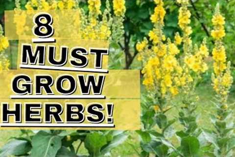 8 MUST GROW HERBS! | HERB SOIL MIX | 1 ACRE FOOD FOREST | ZONE 8