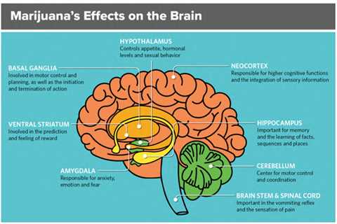 Exploring THC’s Impact On Health And Wellbeing