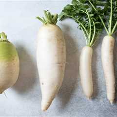 What is Daikon?