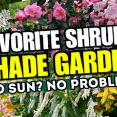 💚🌳 NO SUN? NO PROBLEM! These 10 Shrubs Will Make Your Shade Garden POP! 🌲✨