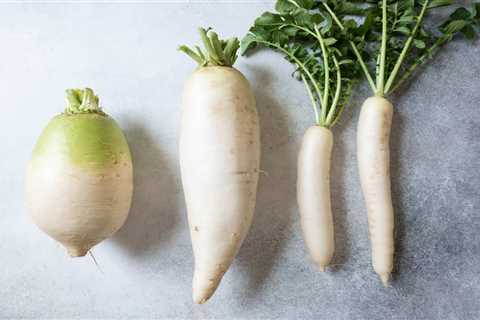 What is Daikon?