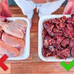 Do These 3 Things Before You Start Raw Feeding