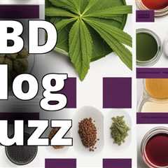 Explore the Ultimate Guide to the Best CBD Blogs Online