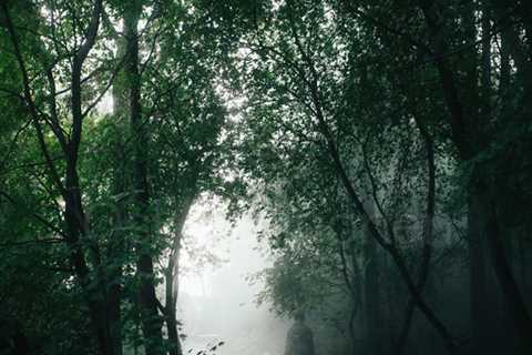 Walk Through Rain III (Vivid Colours)